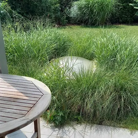 Charmante In Wimpassing Friedburg, Erdgeschoss Mit Grosszuegigen Garten Appartement
